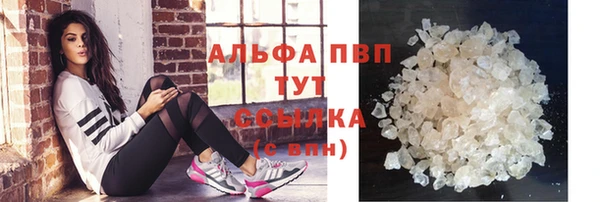 PSILOCYBIN Верхний Тагил
