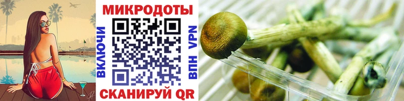 закладки  Осинники  mega как войти  Галлюциногенные грибы GOLDEN TEACHER 